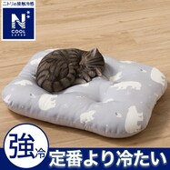 ペットモチモチクッション(NクールSP シロクマ gSC1)