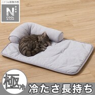 ペットゴロネパッド (NクールWSP モクメ gSC2)
