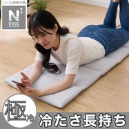 【デコホーム商品】ゴロネクッション(NクールWSP モクメ NG04)