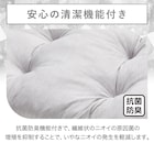 大判長座布団(NクールWSPモクgSC2) 6枚目画像