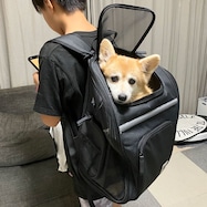 ペットキャリーリュック(ブラック PCDH25)