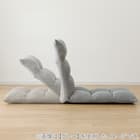 首・脚リクライニング座椅子(LC-B18YS BE) 4枚目画像