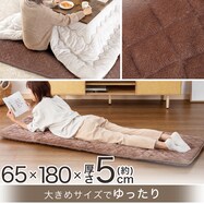 大判フロアクッション(SL2501 BR)