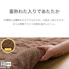 断熱こたつ掛ふとん 大判(Nウォーム ブラウン FJ2509) 6枚目画像