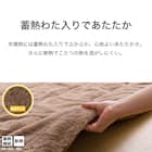 断熱こたつ掛ふとん 正方形(Nウォーム ブラウン RB2510) 6枚目画像