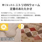 断熱こたつ掛ふとん 特大判(Nウォーム ベージュ RB HO2501) 5枚目画像