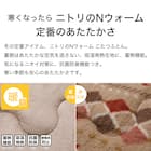 断熱こたつ掛ふとん 特大判(Nウォーム ベージュ RB HO2501) 5枚目画像