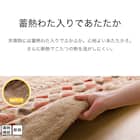 断熱こたつ掛ふとん 特大判(Nウォーム ベージュ RB HO2501) 6枚目画像