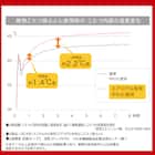 断熱こたつ掛ふとん 大判(Nウォームダブルスーパー SF2514) 11枚目画像