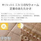 断熱省スペースこたつ掛ふとん 長方形(Nウォーム RB HO2501) 5枚目画像