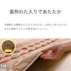 断熱省スペースこたつ掛ふとん 長方形(Nウォーム RB HO2501) 6枚目画像