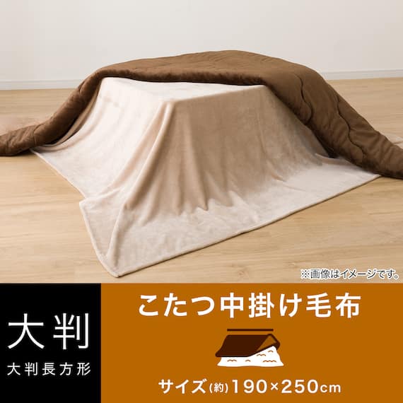 こたつ中掛け毛布 大判(SL2501 BE) 2枚目画像
