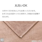 こたつ中掛け毛布 長方形(Nウォーム NW2502 ブラウン) 4枚目画像