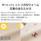 こたつ掛ふとんカバー 大判(Nウォーム ベージュ GA2502) 3枚目画像