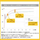 【2点セット】断熱こたつ掛ふとん(Nウォーム FJ2509 MO)+ウサギラグ5(180R IV NU01) 15枚目画像