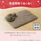 ペット敷パッド(NウォームWSPラメL gSCw1a) 6枚目画像