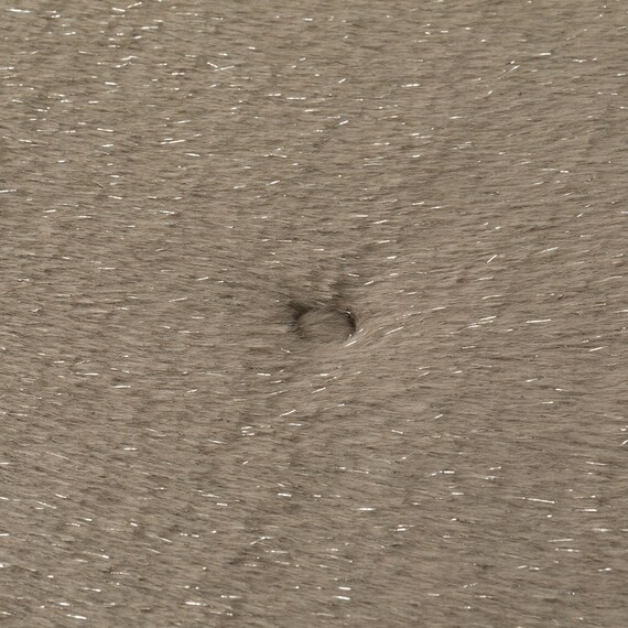 ペット敷パッド(NウォームWSPラメL gSCw1a) 14枚目画像