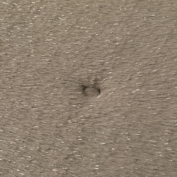 ペット敷パッド(NウォームWSPラメL gSCw1a) 14枚目画像