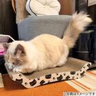 爪とぎ(デコネコ DH25) 2枚目画像