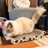 爪とぎ(デコネコ DH25)