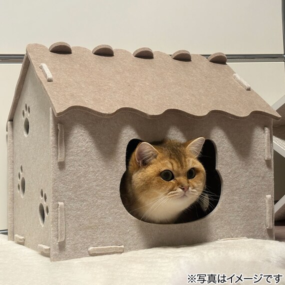 猫ハウス(DH25) 4枚目画像