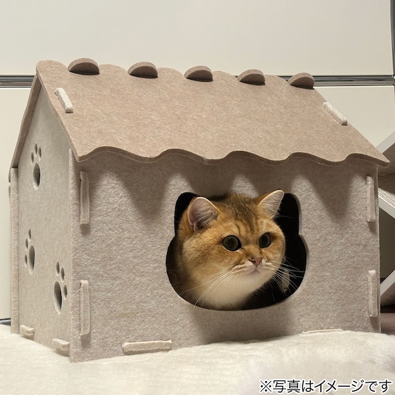 猫ハウス(DH25) 4枚目画像