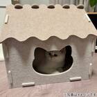猫ハウス(DH25) 5枚目画像