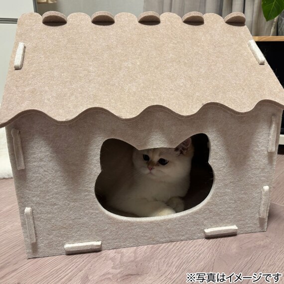 猫ハウス(DH25) 5枚目画像