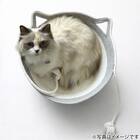 ネコ型ペットベッド M 3枚目画像