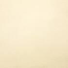 クッションカバー(フルーツ FR2601 45×45cm) 4枚目画像