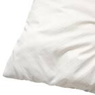 大判長座布団(LN2601) 6枚目画像