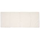 4つ折りフロアクッション(LN2601) 4枚目画像