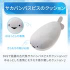モチモチクッション(Nクール サカバンバスピス M FB01) 3枚目画像