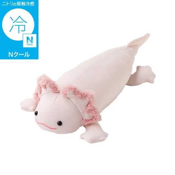 モチモチクッション(Nクール ウーパールーパー S FB12) 1枚目画像