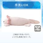 モチモチクッション(Nクール ウーパールーパー S FB12) 5枚目画像