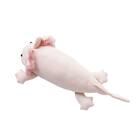 モチモチクッション(Nクール ウーパールーパー S FB12) 5枚目画像