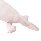 モチモチクッション(Nクール ウーパールーパー S FB12) 8枚目画像