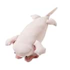 モチモチクッション(Nクール ウーパールーパー S FB12) 9枚目画像