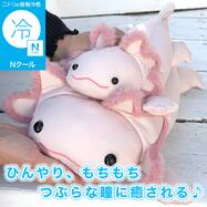 モチモチクッション(Nクール ウーパールーパー FB12)