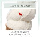 クッション(S Malib NR04 ソフト) 3枚目画像