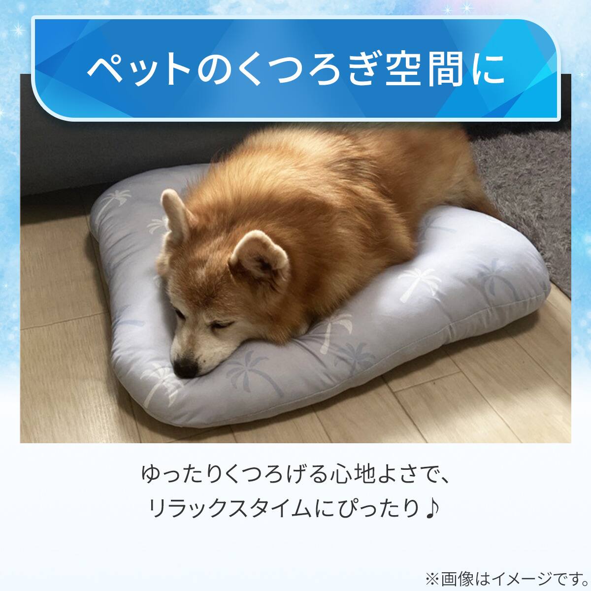 ペットモチモチクッション Mサイズ(Nクール PALM NR04) | ニトリネット