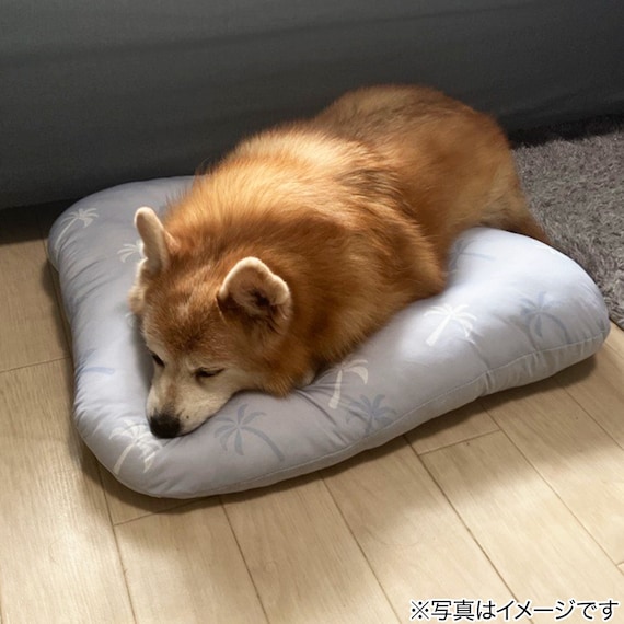 ペットモチモチクッション Mサイズ(Nクール PALM NR04) 3枚目画像