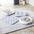 ペットモチモチクッション Mサイズ(Nクール PALM NR04) 4枚目画像