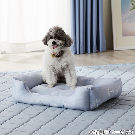 ペットベッド 角 Mサイズ(Nクール PALM NR04) 2枚目画像