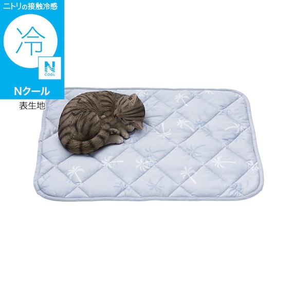 ペット敷パッド Mサイズ(Nクール PALM NR04) 1枚目画像