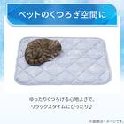 ペット敷パッド Mサイズ(Nクール PALM NR04) 4枚目画像