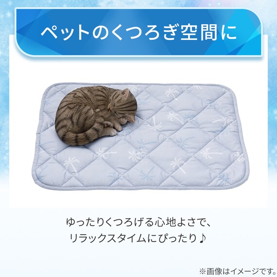 ペット敷パッド Mサイズ(Nクール PALM NR04) 4枚目画像
