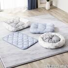 ペット敷パッド Mサイズ(Nクール PALM NR04) 2枚目画像