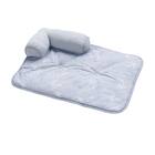 ペットごろ寝パッド Mサイズ(Nクール PALM NR04) 2枚目画像