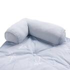 ペットごろ寝パッド Mサイズ(Nクール PALM NR04) 3枚目画像